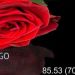 85.53